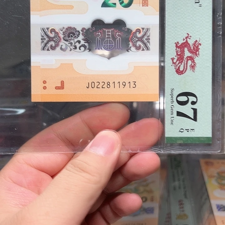 塑料龙钞啊啊啊啊啊啊啊啊