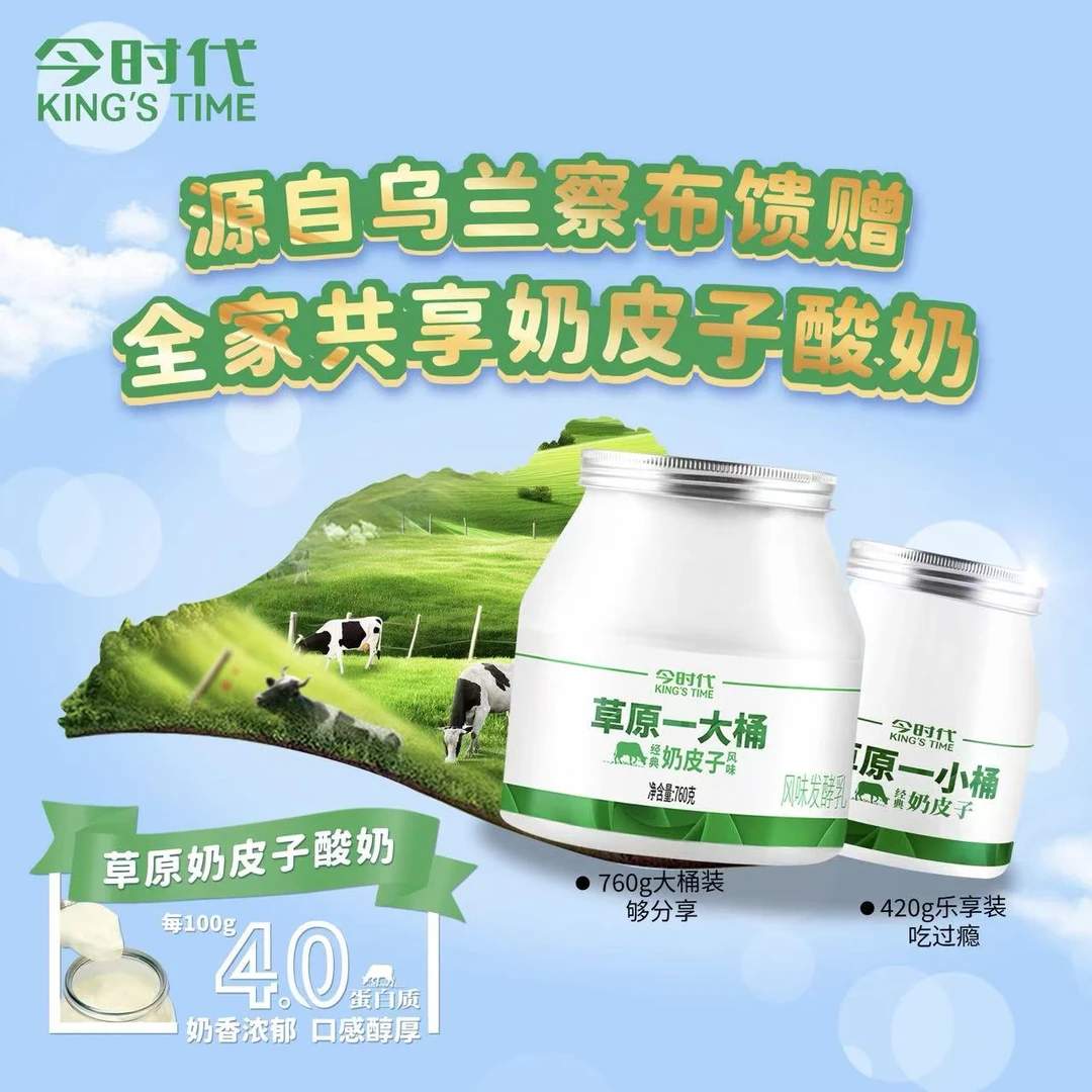 【顺丰包邮】草原奶皮子酸奶760g*3蒙古老酸奶单罐发酵桶低温酸奶