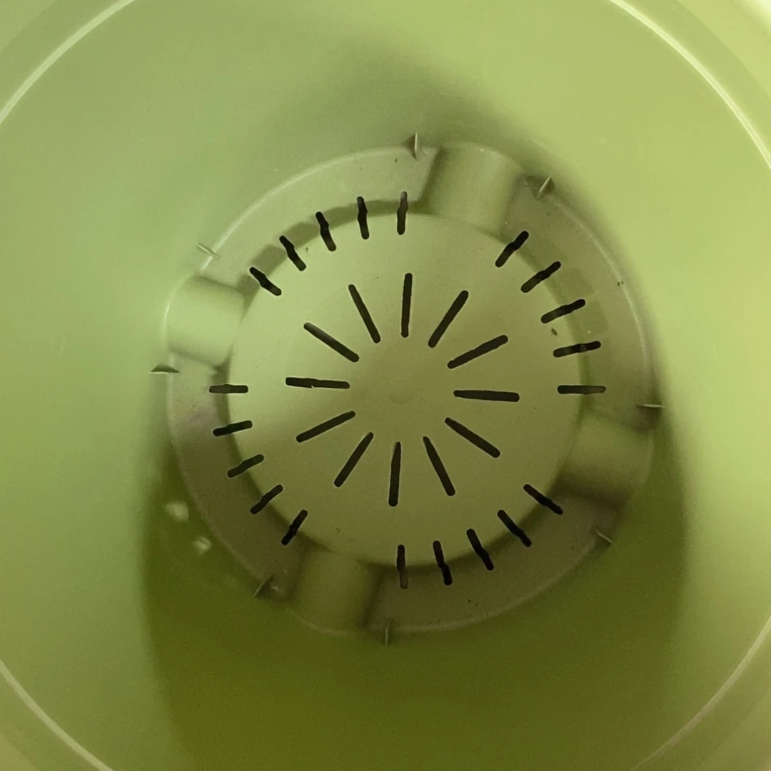 5个32口果绿无托微瑕伊特