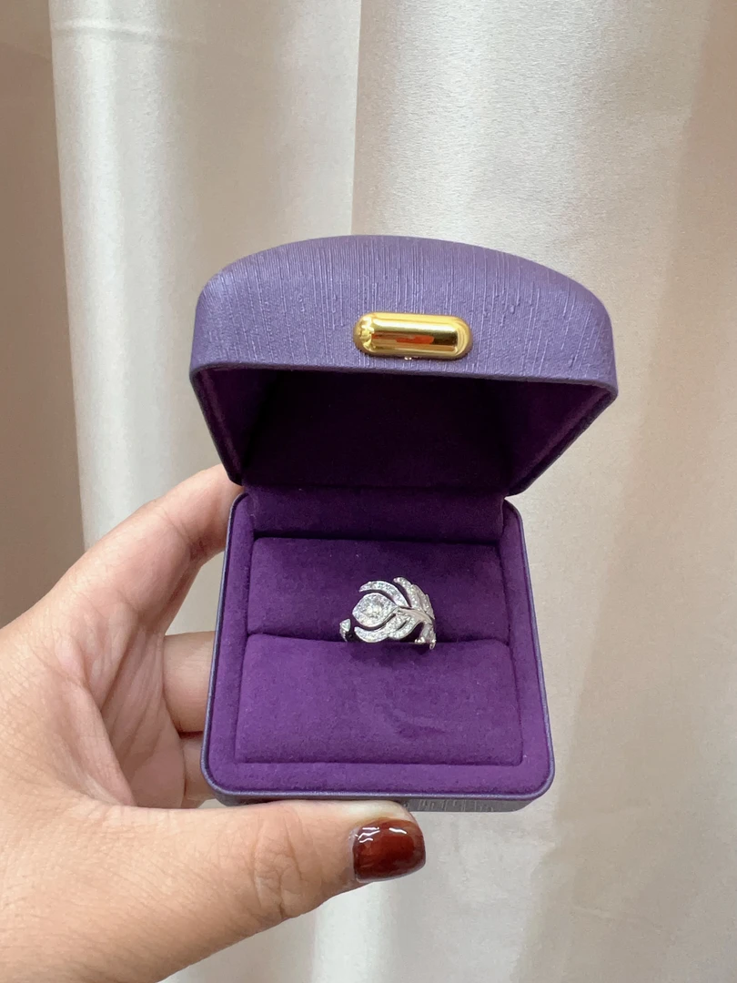 18 K金羽毛钻石戒指小众满钻女士款