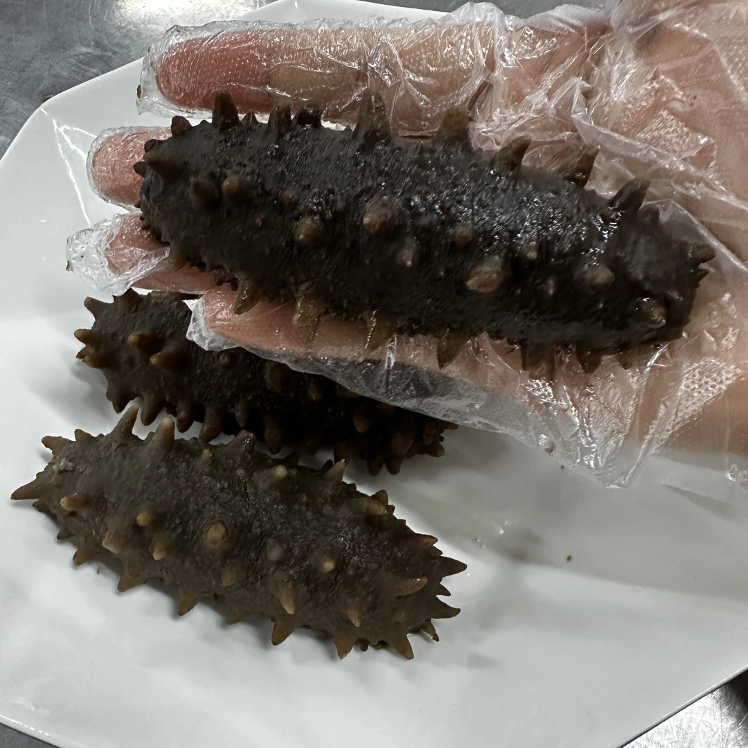 【益娜娜专属】即食海参  2斤 急冻 中通快递介意勿拍