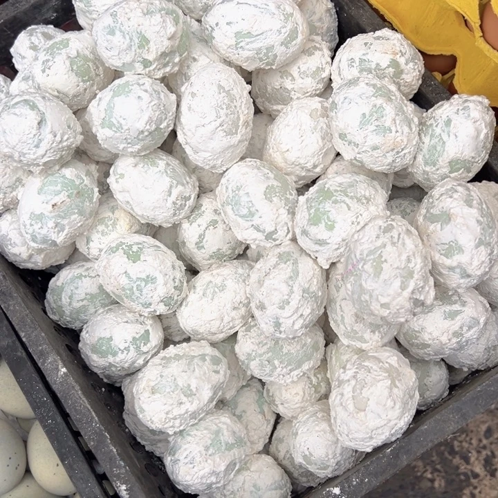 中国大陆10个皮蛋