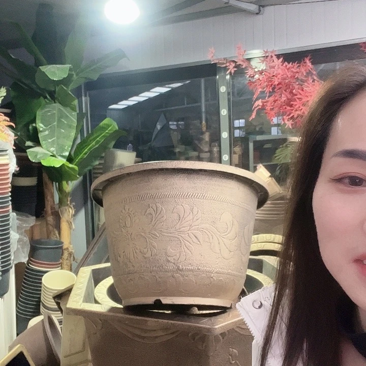 盆景886988999888