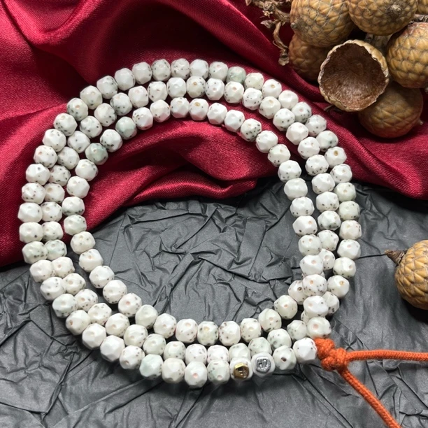 孤品级6瓷白带月数星星星月菩提手串GP6CBSXX2350818
