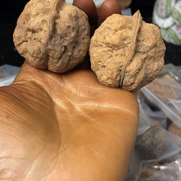 把件文玩核桃云南铁核桃基地50