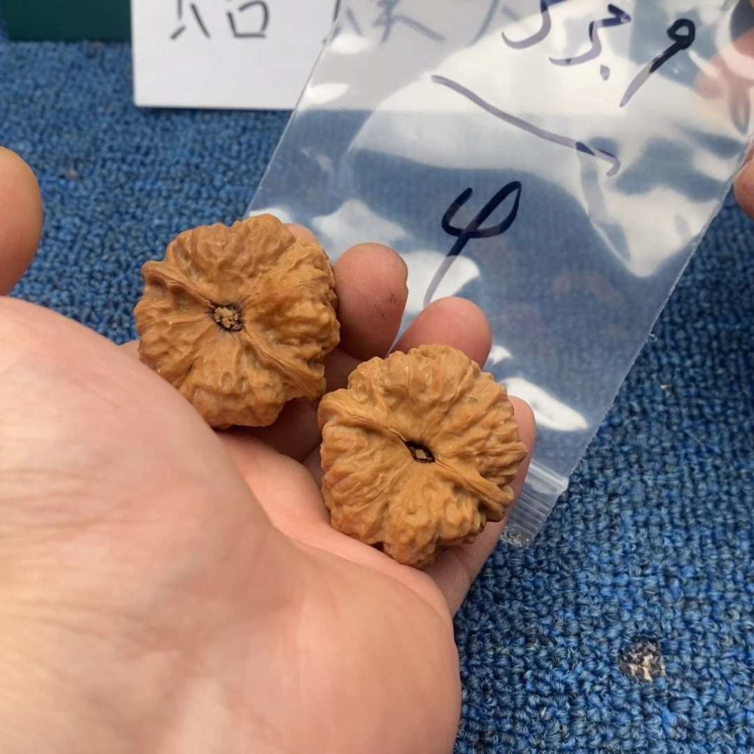 哈哈哈哈哈哈哈哈哈哈哈哈