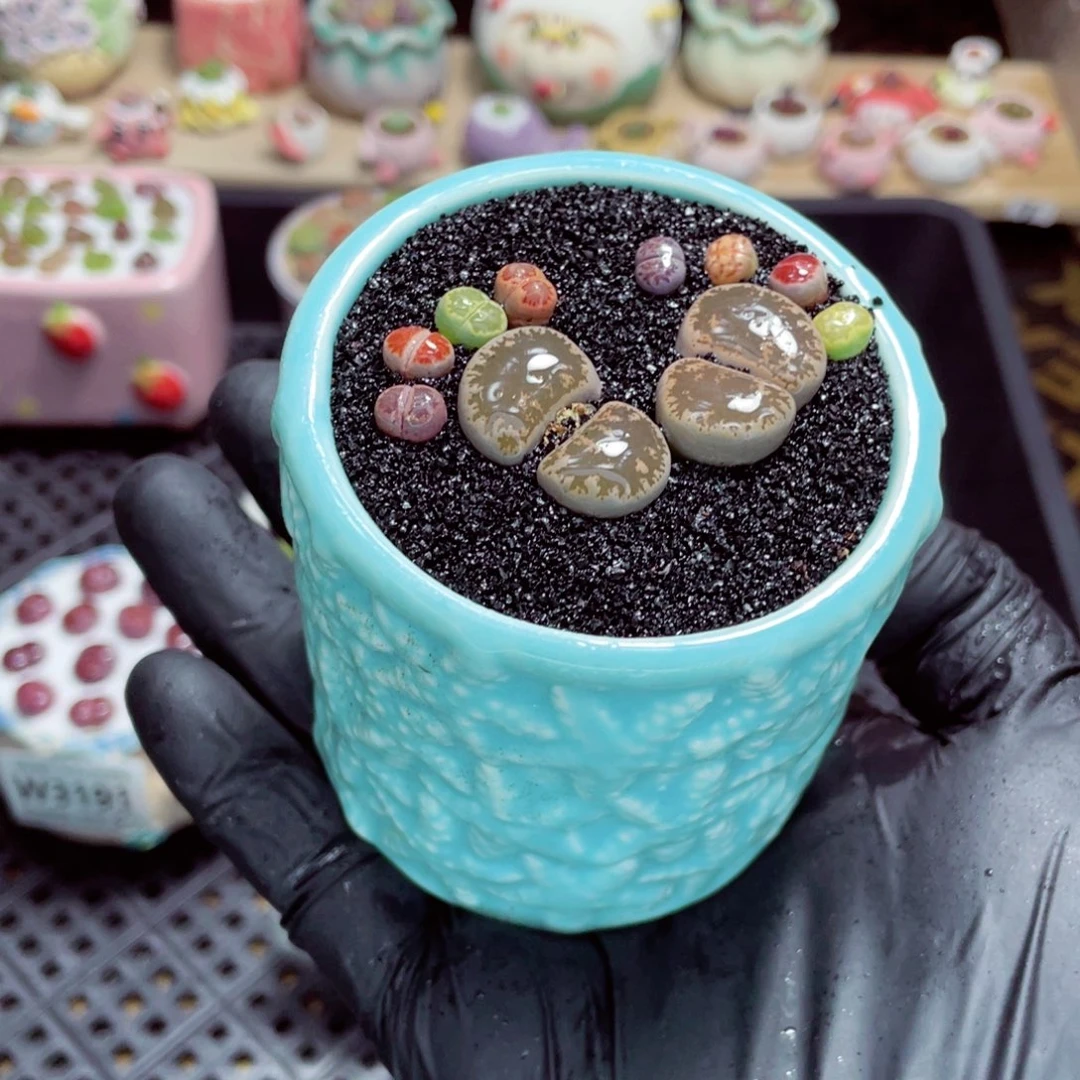 夜间零下地区拍保温箱w3194