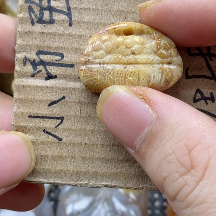 颈饰未镶嵌硅化珊瑚（珊瑚玉）隨*