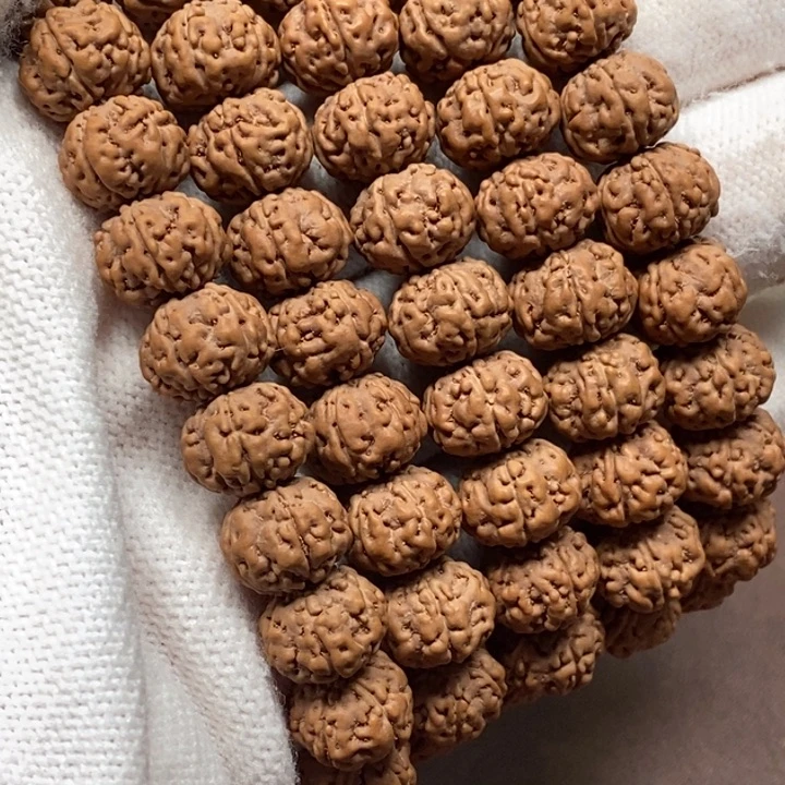 驾***考金刚菩提吊坠树王