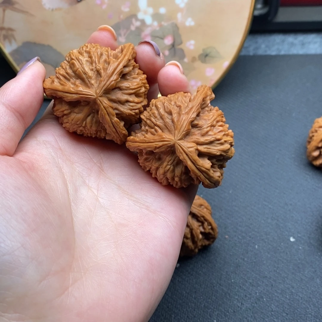 深**月白狮子1111111111