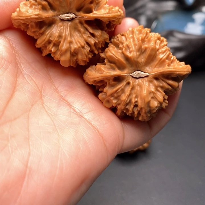 文玩核桃把件大百花山