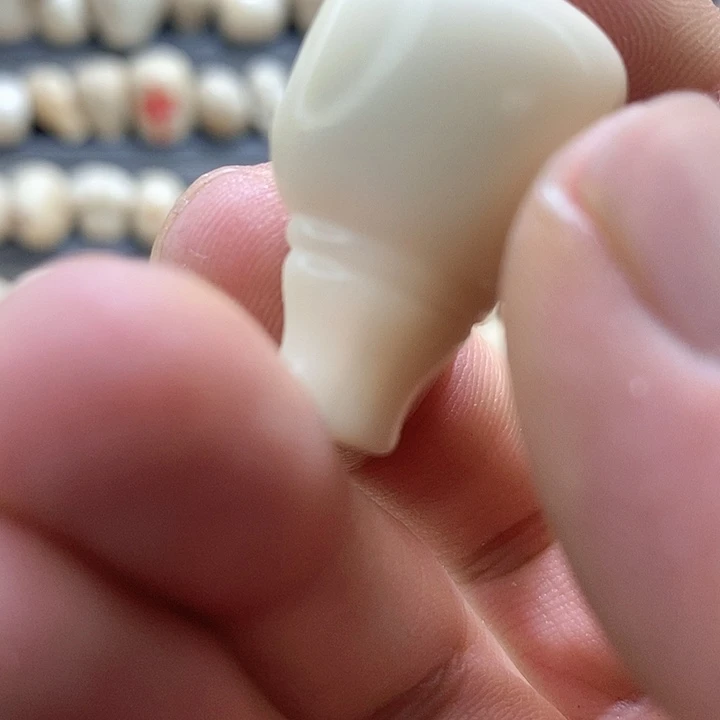 L***⁰菩提根/象牙果吊坠
