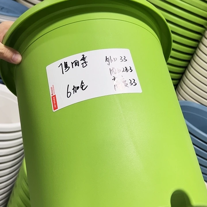正品7四季口33高33果绿无托6只