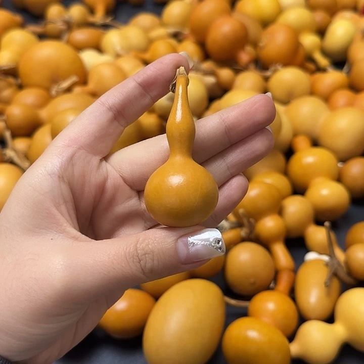 满身橘皮纹老皮本捻