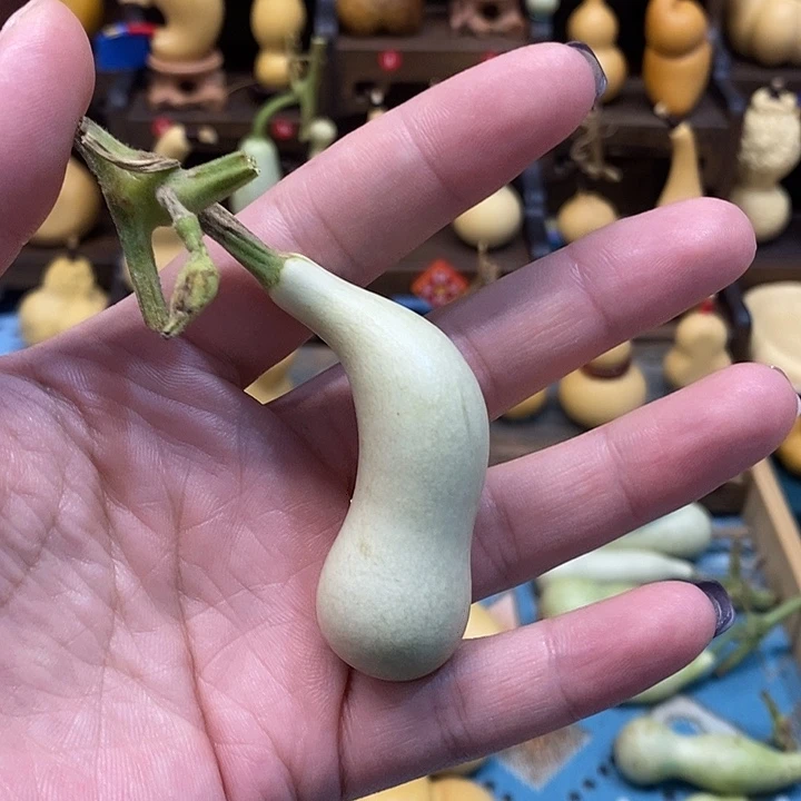 本长异形全品无暇