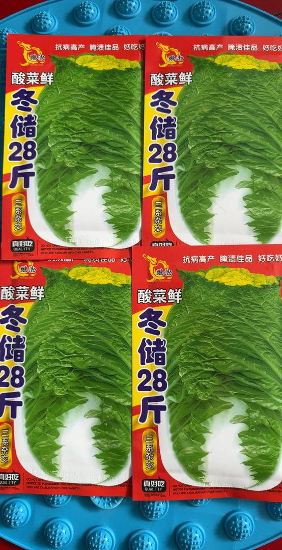 冬储28斤白菜籽70天（腌储两用）
