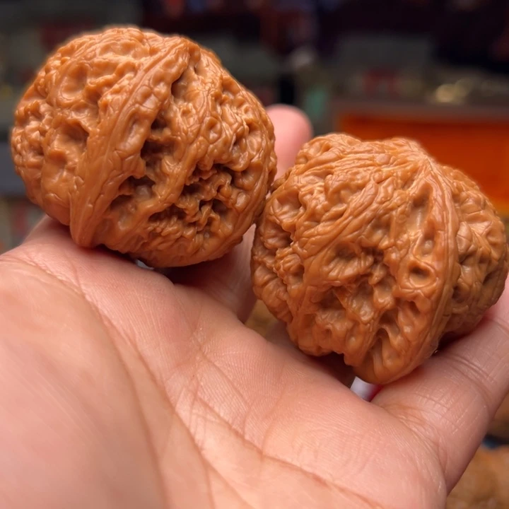 《***片核桃46大粗筋大粗筋大粗筋