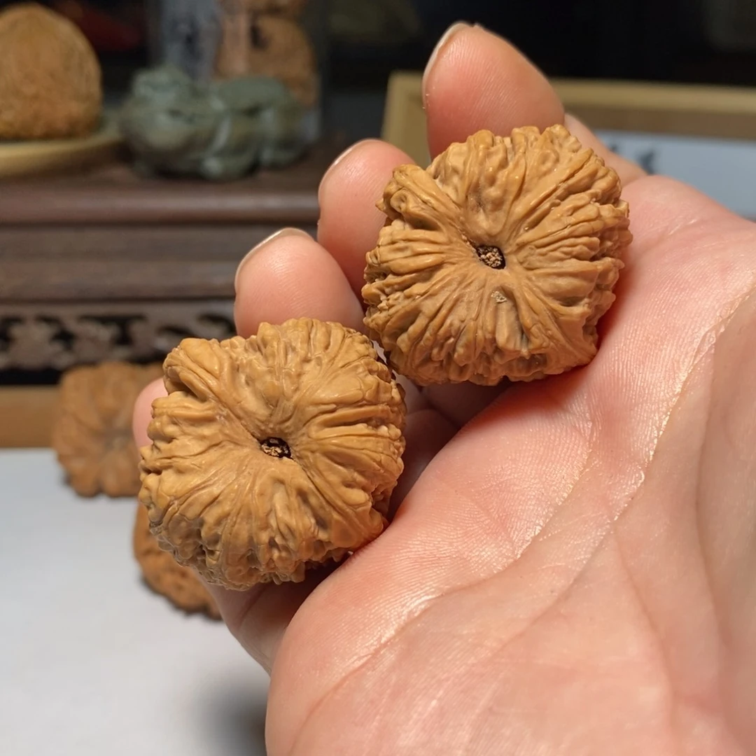 m*g文玩核桃南将石35精品