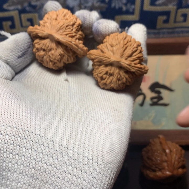 行***距哈哈哈哈哈哈哈哈哈