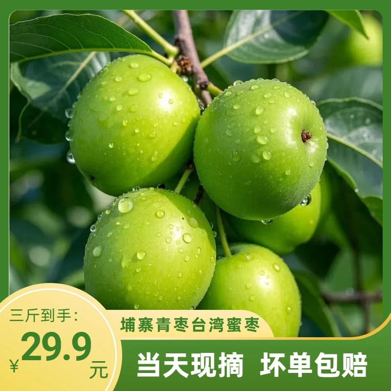 埔寨青枣园蜜枣微甜清脆大枣新鲜当季水果青枣脆甜整箱