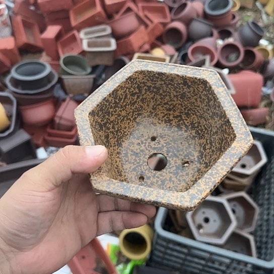 我想说我们也很幸福吧希望以后都能够