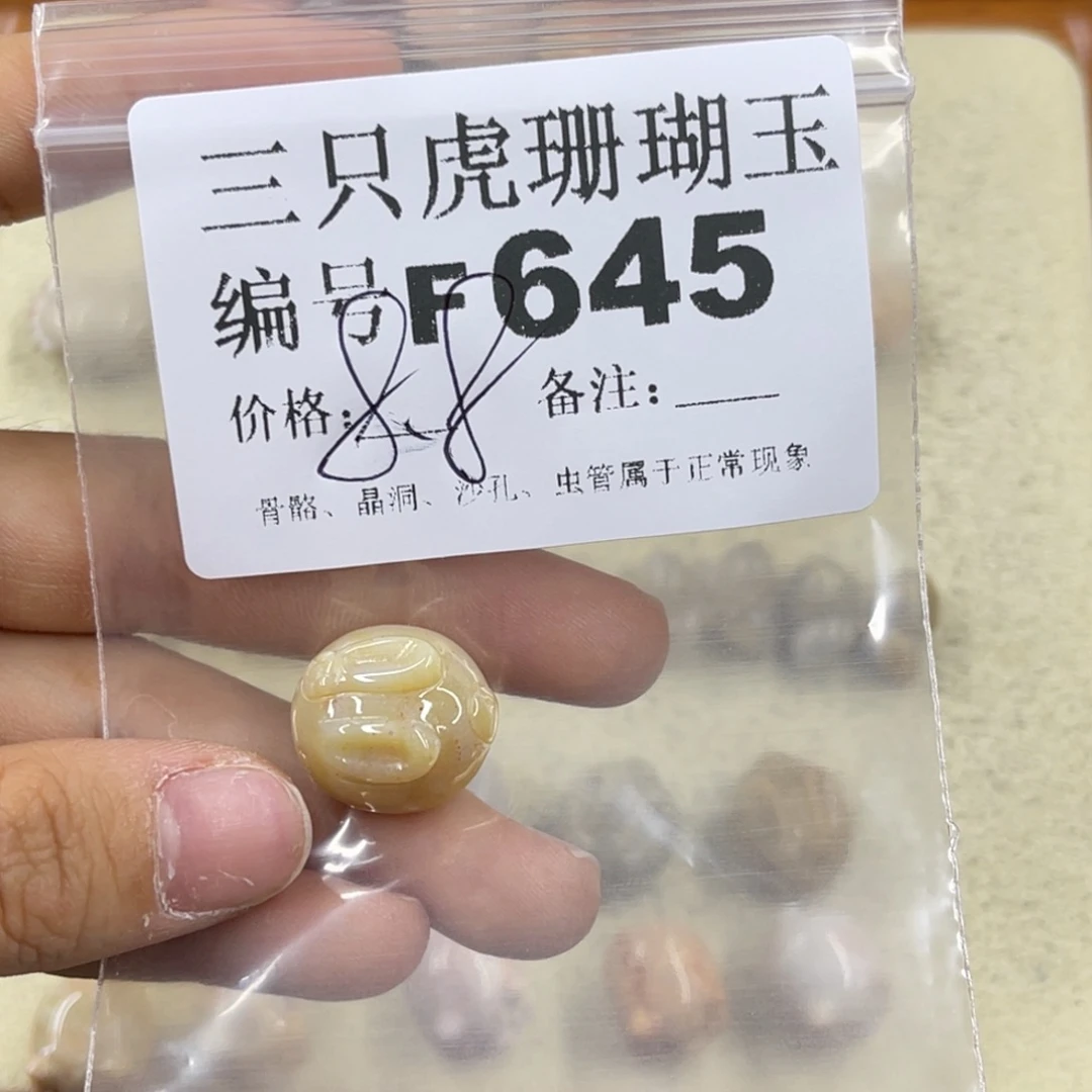 骄***年未镶嵌h硅化珊瑚（珊瑚玉）