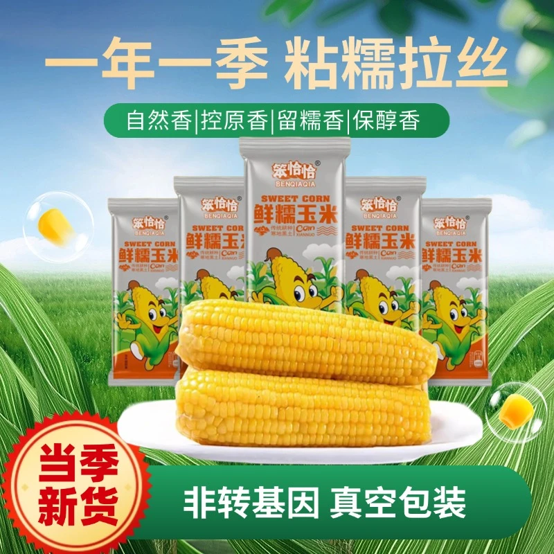 【试吃2根】24年新鲜东北头茬黑糯黄糯玉米棒10根/真空包装随机发