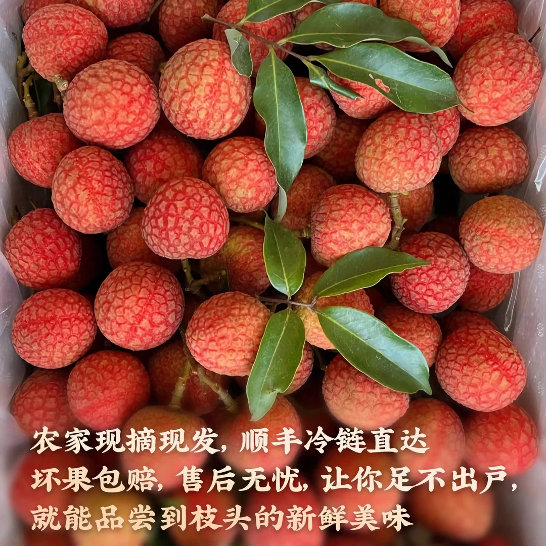 【顺丰冷链】高州荔枝妃子笑白糖罂老树果自然熟5斤礼盒装顺丰包邮