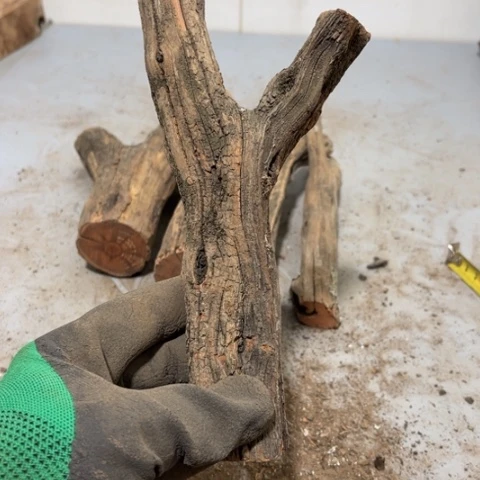 大果紫檀（缅甸花梨）N*