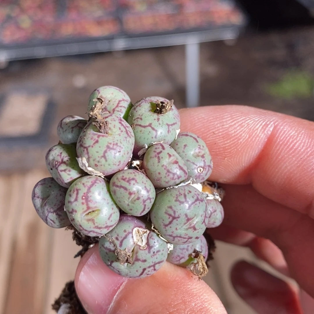 14139一个一个一个