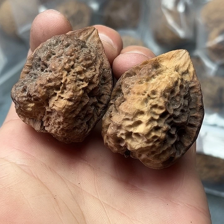 文玩核桃把件34号七彩妖将44尺