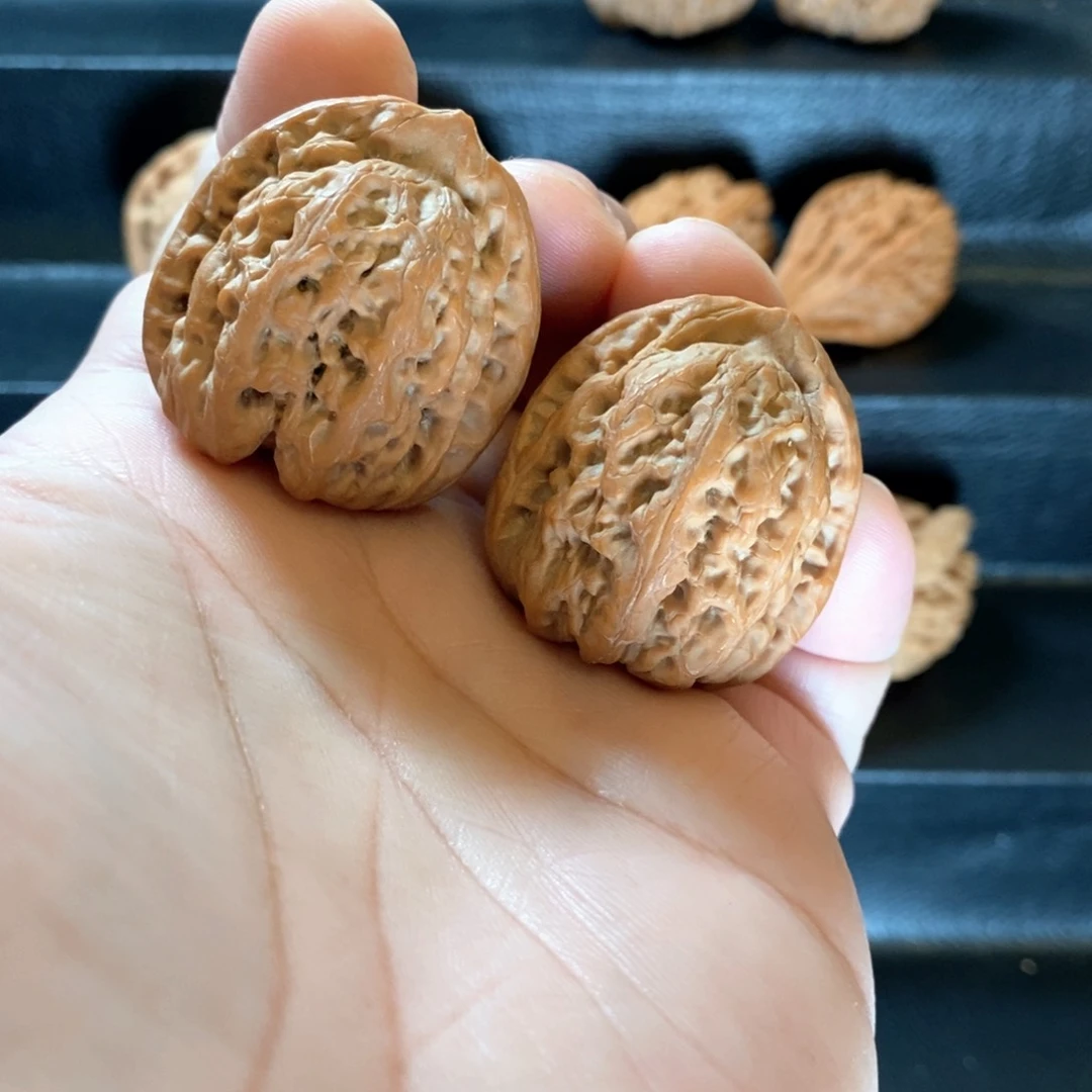 桃核把件大*圆原生态山地佛肚体验34