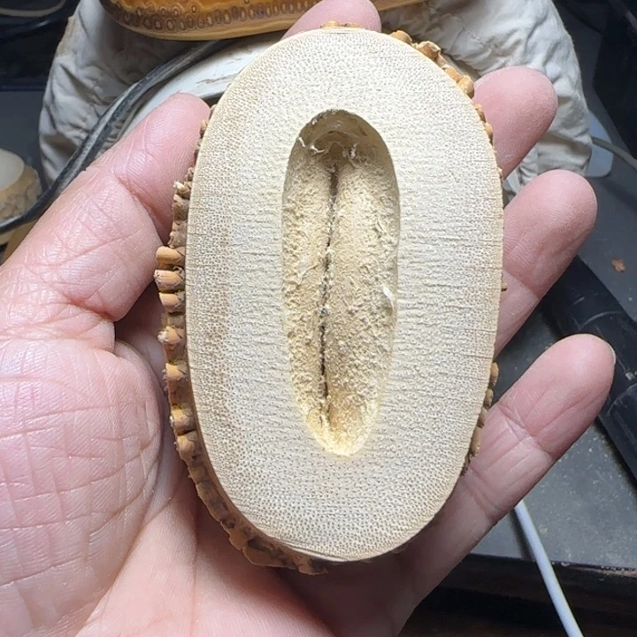 *****竹根竹隔一物一拍