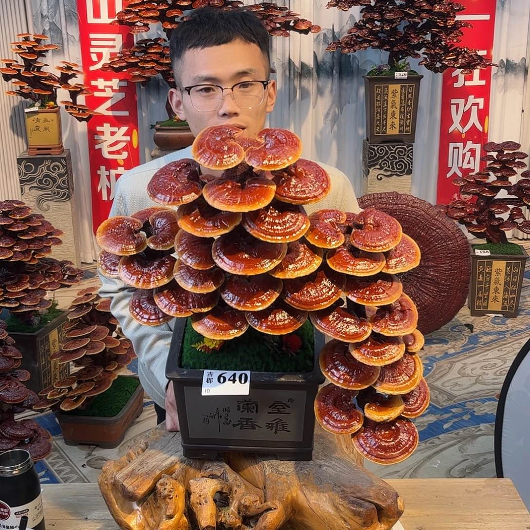 无花朵888888888888