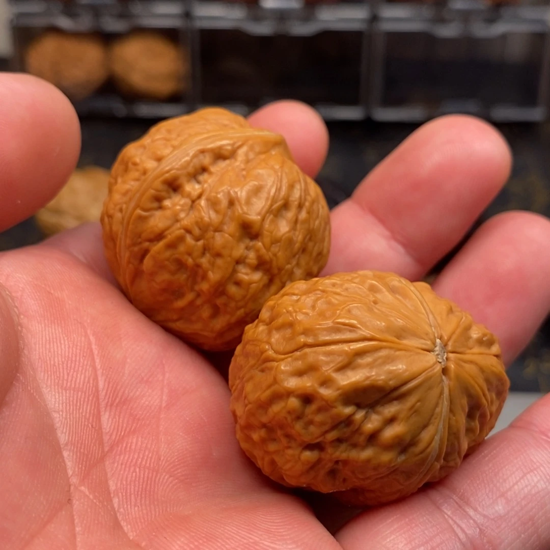 吊坠文玩核桃黄金蟒