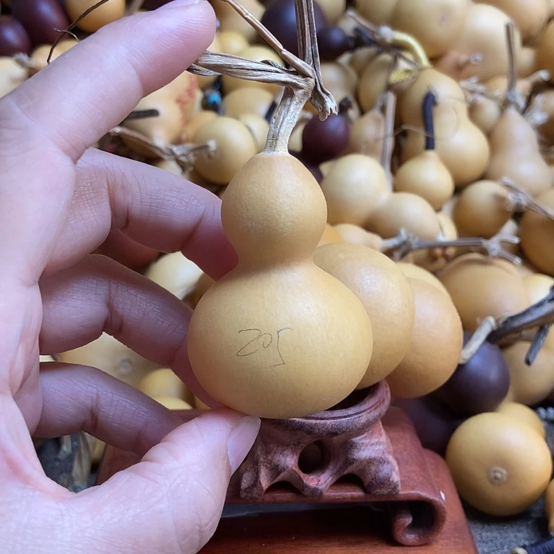 文玩葫芦 完美主义者 慎拍205