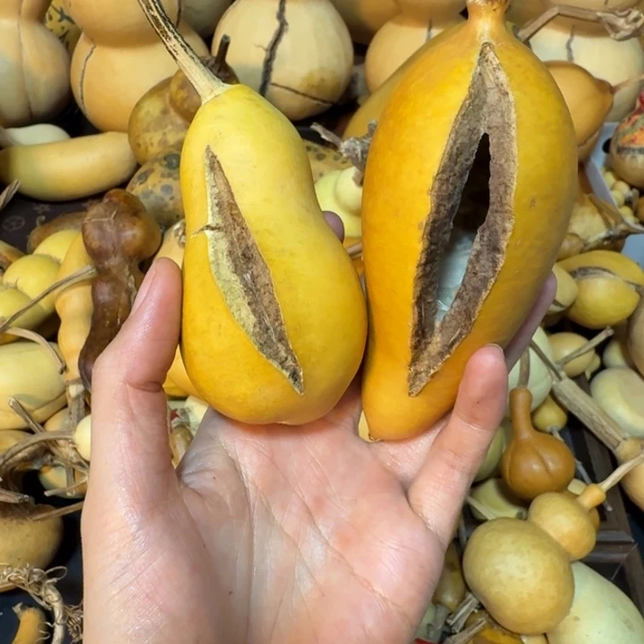 东***山健健康康健健康康健健康康