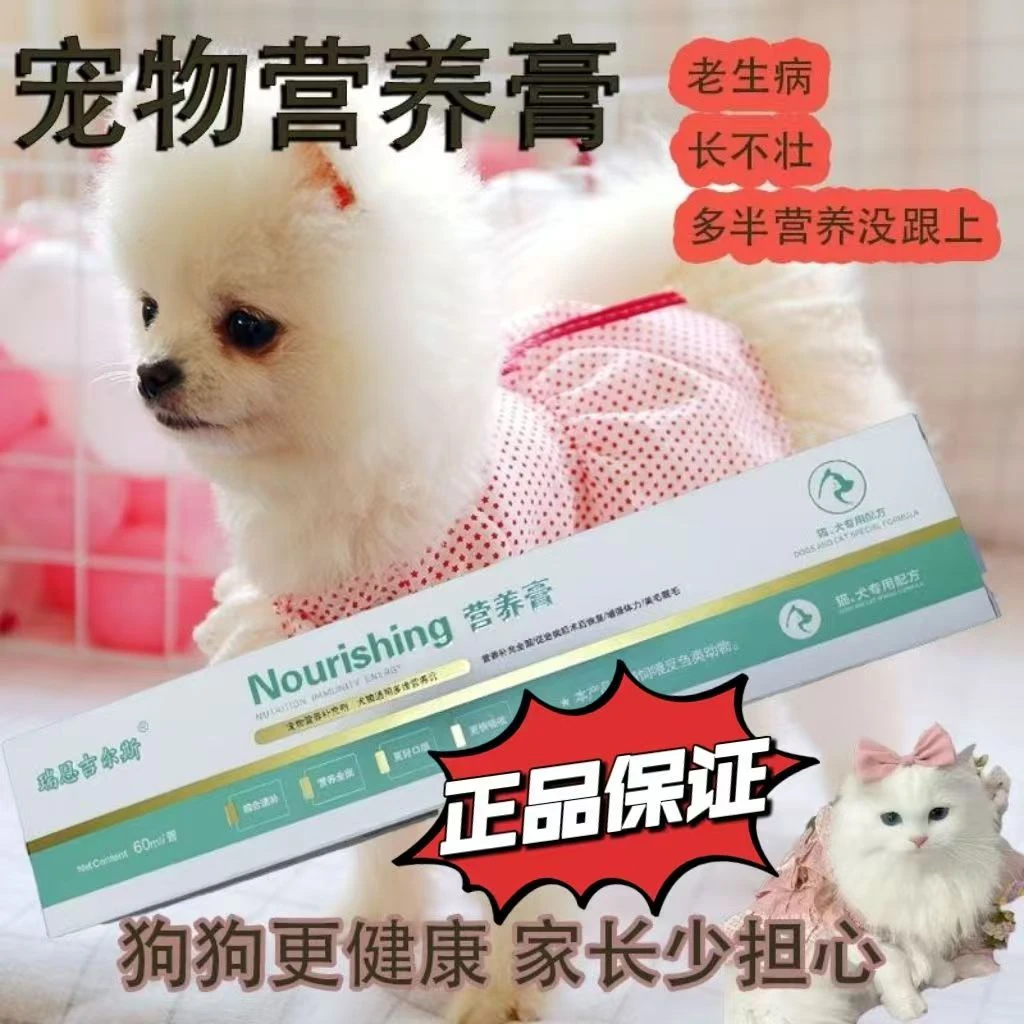 瑞恩吉尔斯营养膏60ml