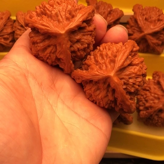 天***勤核桃核桃核桃核桃核桃核桃