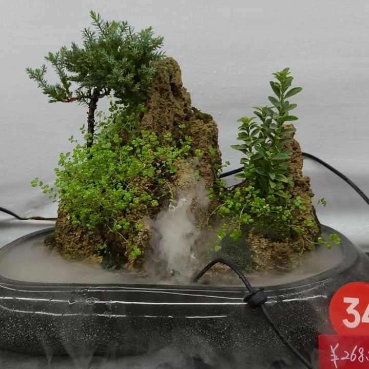 无花朵吸水石假山盆景