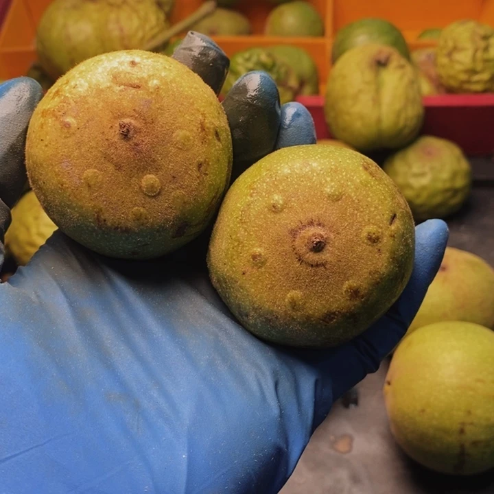 文玩核桃把件盘山三棱