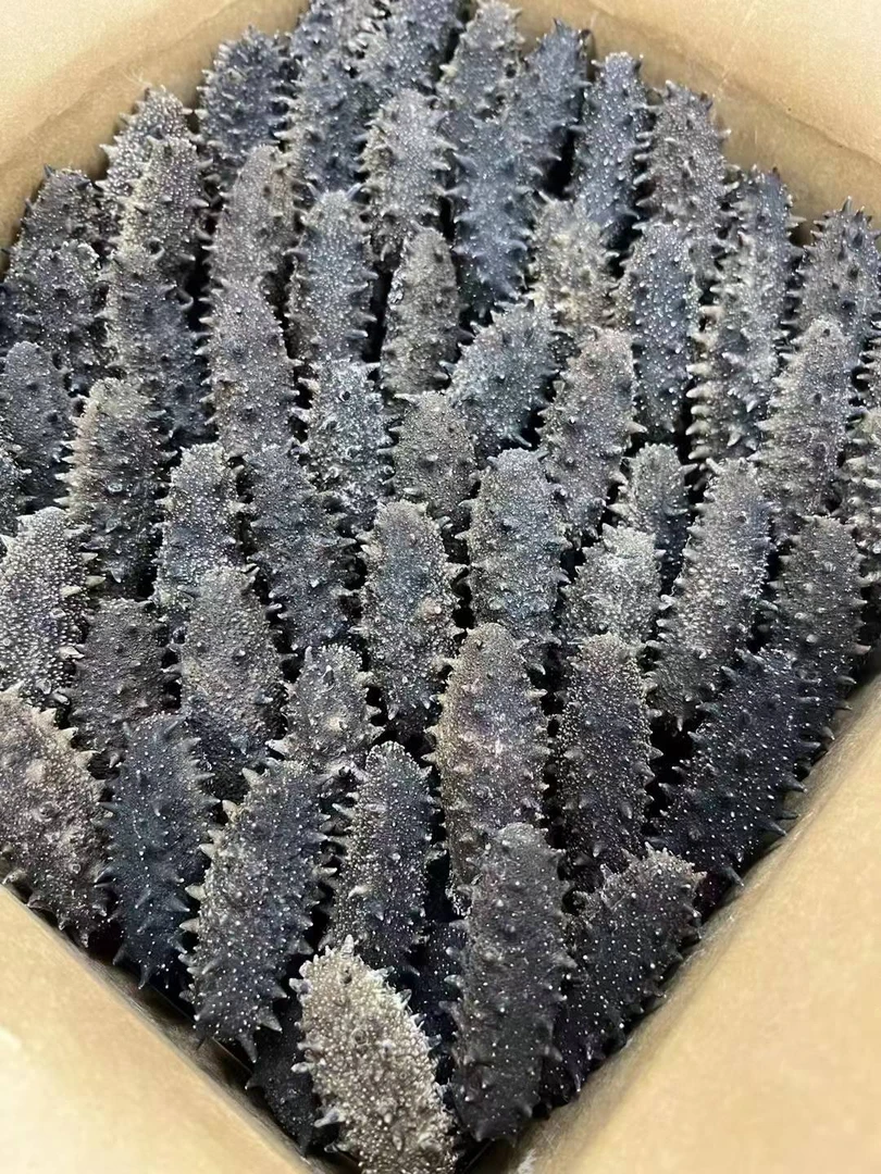 大连海参干货纯淡干海参250克