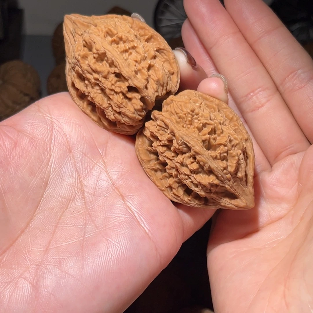 海****木质类大沽石文玩全品