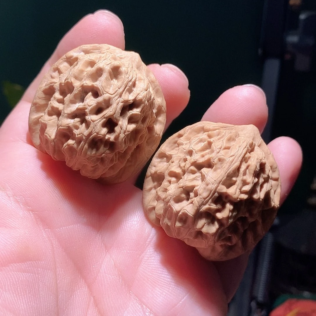 把件文玩核桃39.4龙脉元宝全品