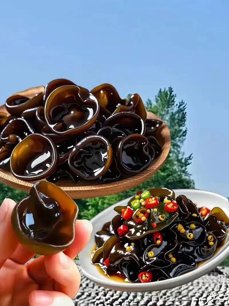 野生黑木耳营养价值高