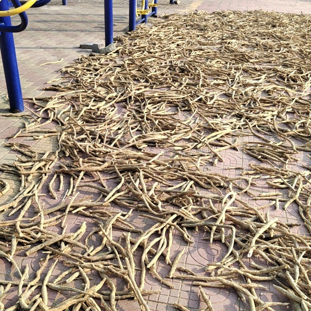 现买现称老牛大力