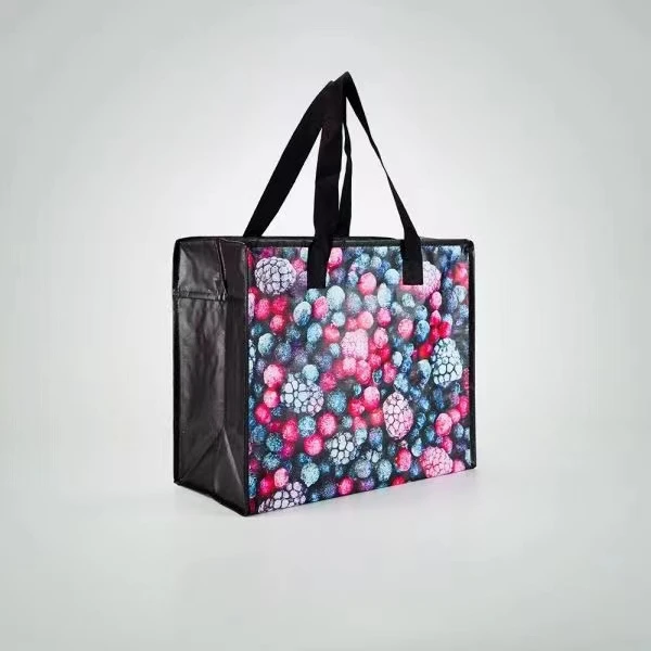 两个装（37*20*32）老美售50+手提带拉链的保温袋 防水易清洗购物袋