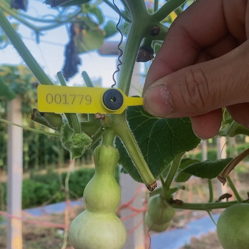 【闪购商品】荼****）1779