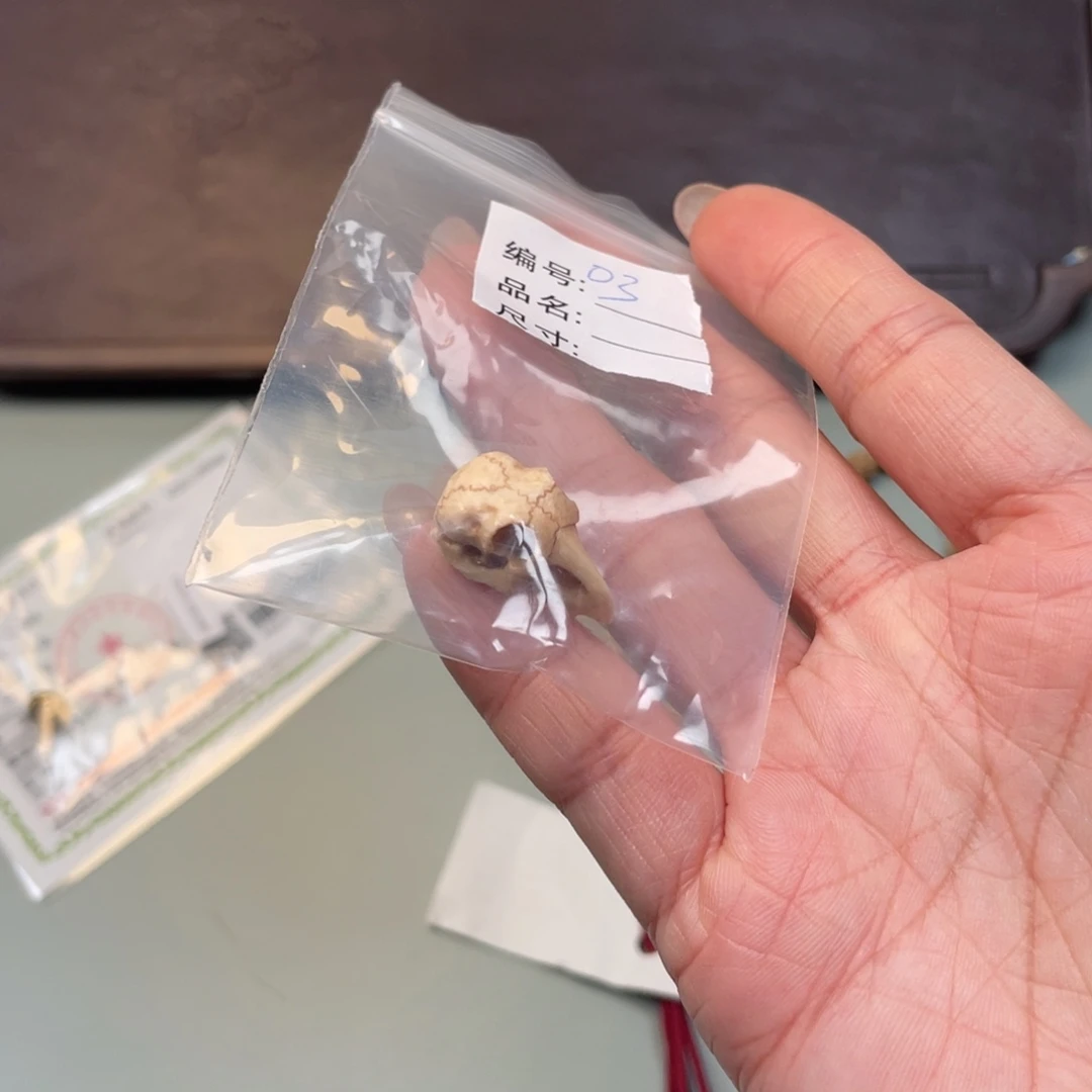 吊坠柏香籽/百香籽