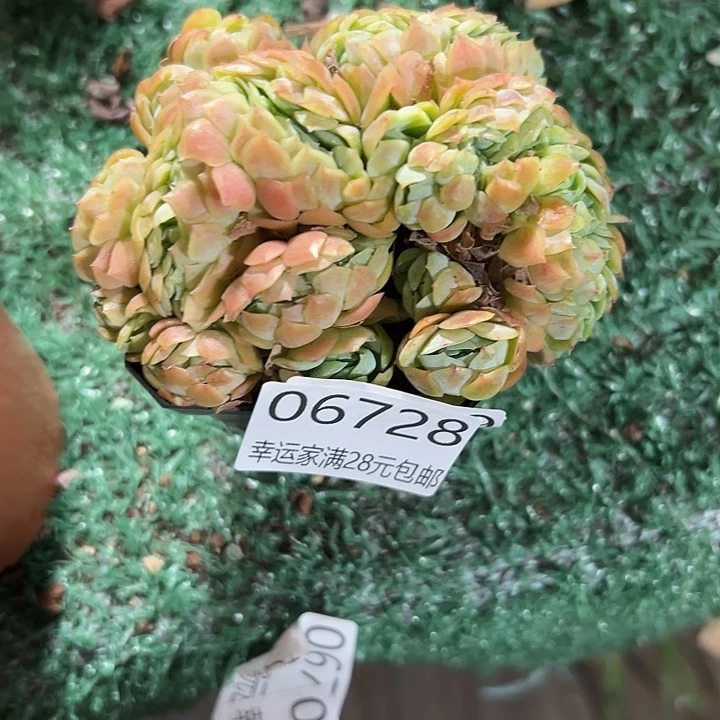 幸运的是我还没遇到过